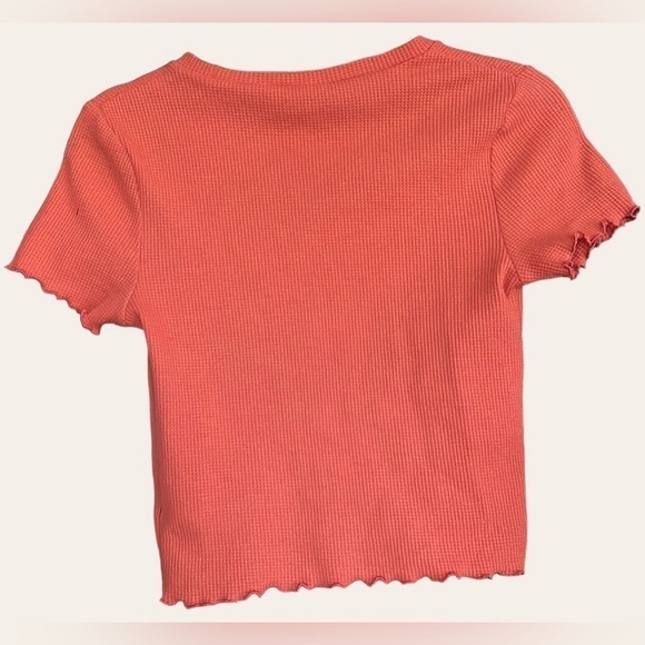 WILD FABLE Pale Terra Cotta Color Waffle Knit Cropped Tee, Size Medium, GUC. - Picture 6 of 6